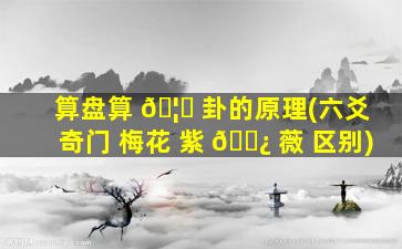 算盘算 🦊 卦的原理(六爻 奇门 梅花 紫 🌿 薇 区别)